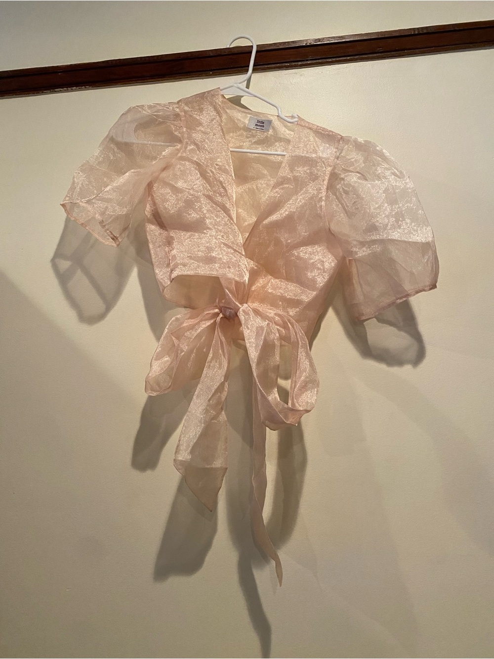 100% Silk Organza Aritzia Top